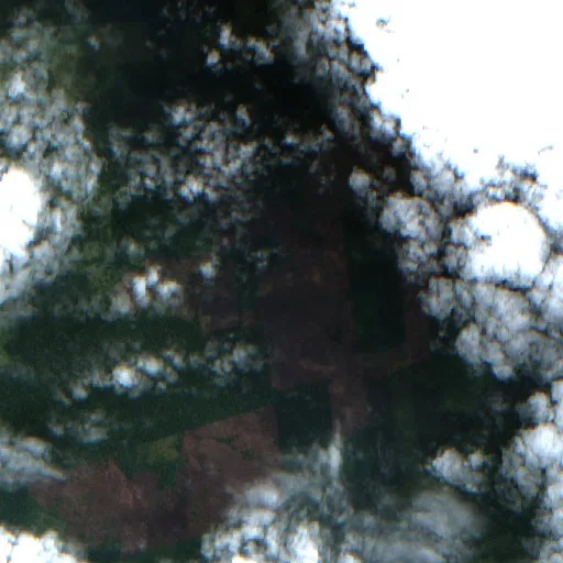 Wildfire near Jacynópolis — Sentinel-2 true color