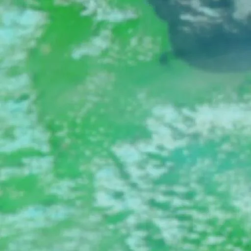 Wildfire near Jáltipan de Morelos — NASA satellite