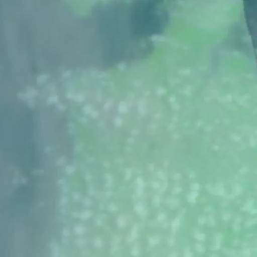 Incendio cerca de Jardine River — NASA satellite