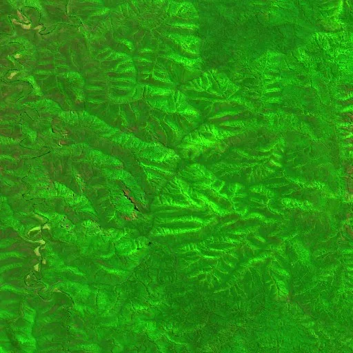 Jinden Bushfire — Sentinel-2 SWIR