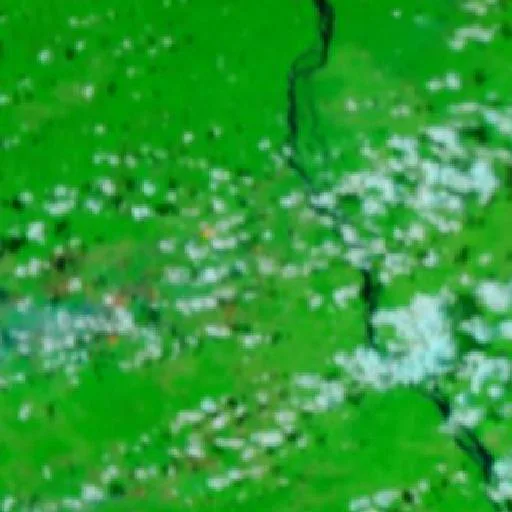 Wildfire near Joales — NASA satellite