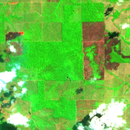 Wildfire near Joaquim Antônio (Aug 30 · E) — Sentinel-2 SWIR (fuego)
