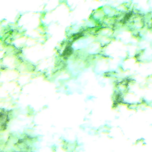 Wildfire near Jódar — Sentinel-2 SWIR (fuego)