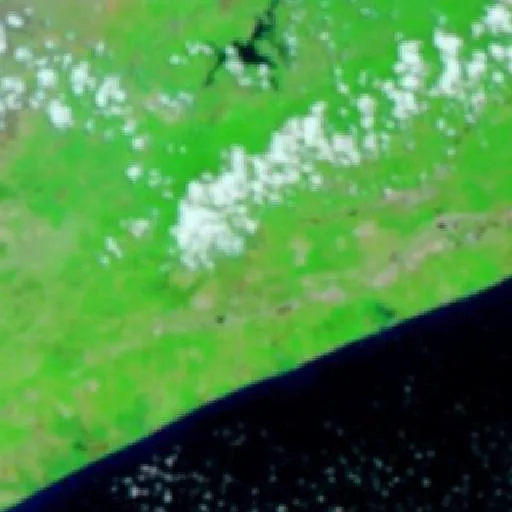 Wildfire near Jorong — NASA satellite
