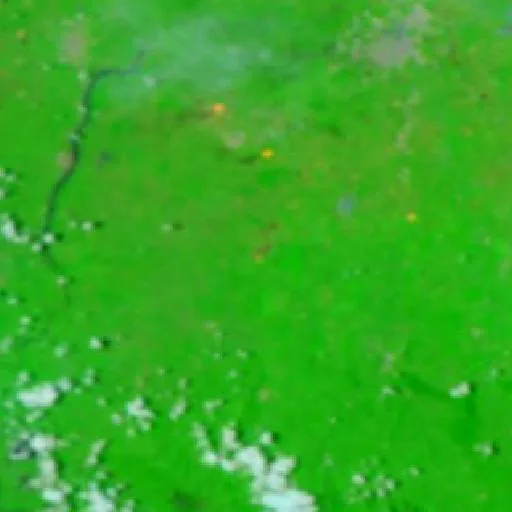 Wildfire near Juárez — NASA satellite