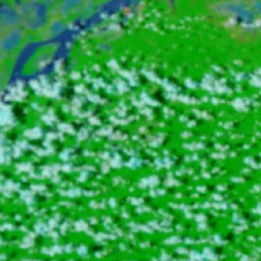 Incendio cerca de Juruti — NASA satellite