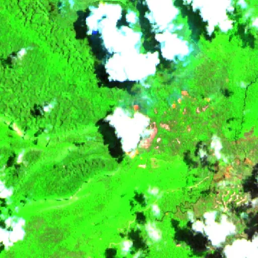 Incendio cerca de Kaimana — Sentinel-2 SWIR (fuego)
