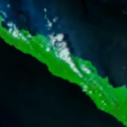 Wildfire near Kavieng District — NASA satellite