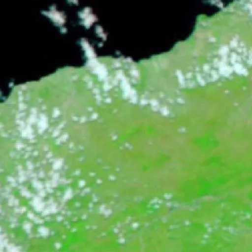 Incendio cerca de Kefamenanu — NASA satellite