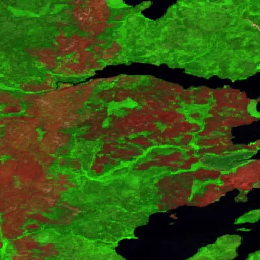 Wildfire near North Spirit Lake (Jul 12) — Sentinel-2 SWIR