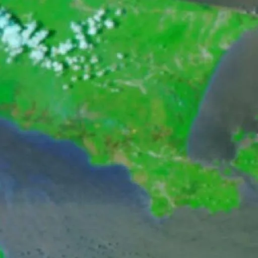 Wildfire near Kepoh — NASA satellite