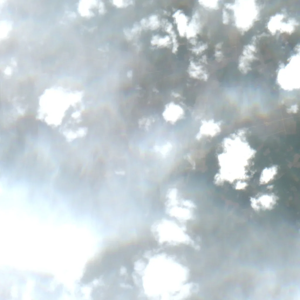 Wildfire near Kepoh — Sentinel-2 true color