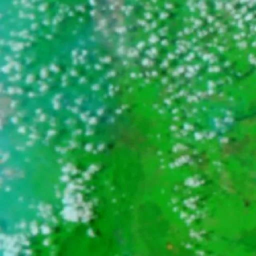 Incendio cerca de Kerang — NASA satellite