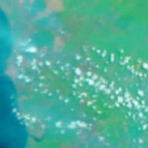 Wildfire near Ketapang (Sep 20 · S #4) — NASA satellite