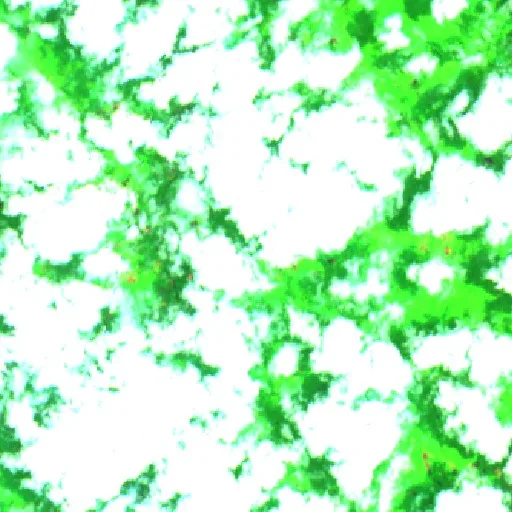 Wildfire near Ketapang (Oct 2 · N) — Sentinel-2 SWIR (fuego)