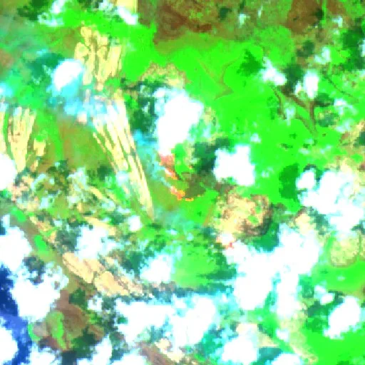 Wildfire near Ketapang (Oct 13 · S #2) — Sentinel-2 SWIR (fuego)
