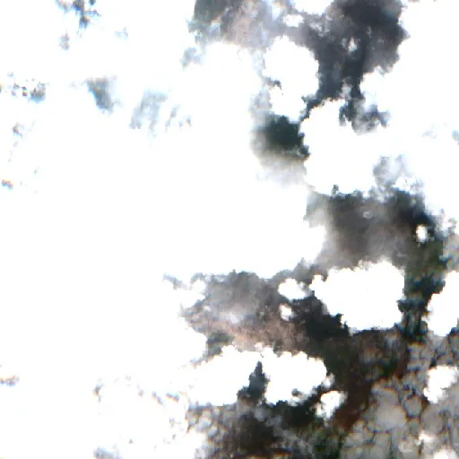 Wildfire near Ketapang (Sep 18) — Sentinel-2 true color