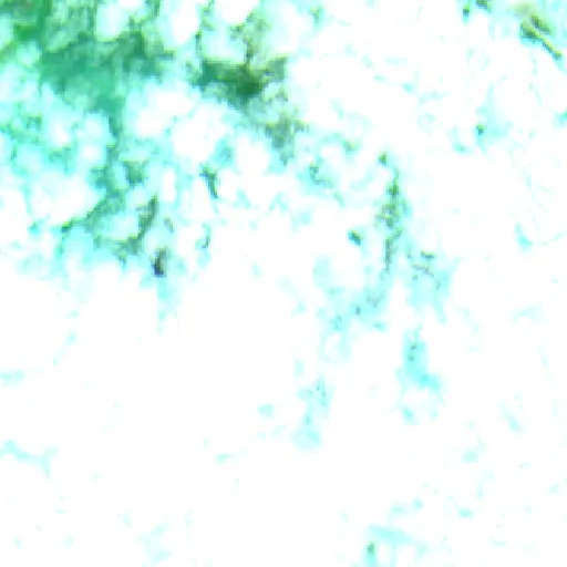 Wildfire near Ketapang (Sep 17 · N) — Sentinel-2 SWIR (fuego)