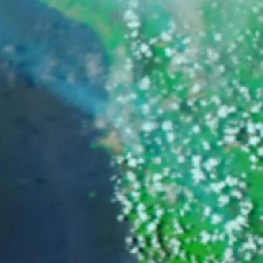 Wildfire near Ketapang (Sep 19 · S #2) — NASA satellite