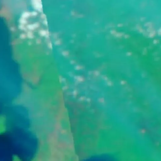 Wildfire near Ketapang (Sep 19 · SE) — NASA satellite
