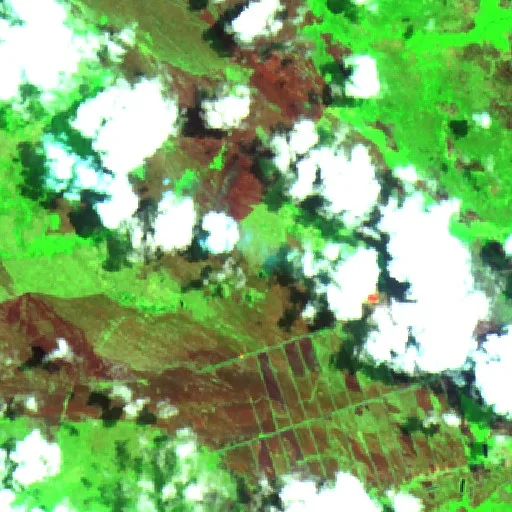 Wildfire near Kimaam (Sep 21) — Sentinel-2 SWIR (fuego)