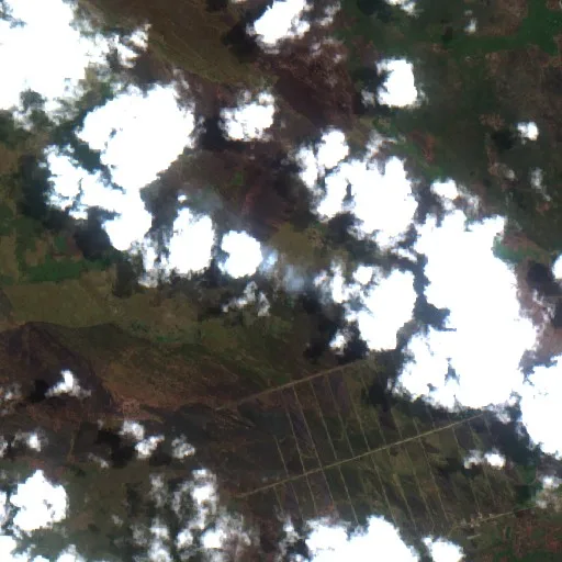 Wildfire near Kimaam (Sep 21) — Sentinel-2 true color