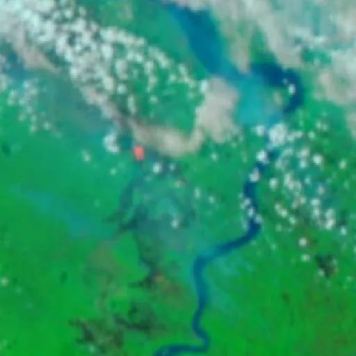 Wildfire near Kimaam (Sep 24) — NASA satellite