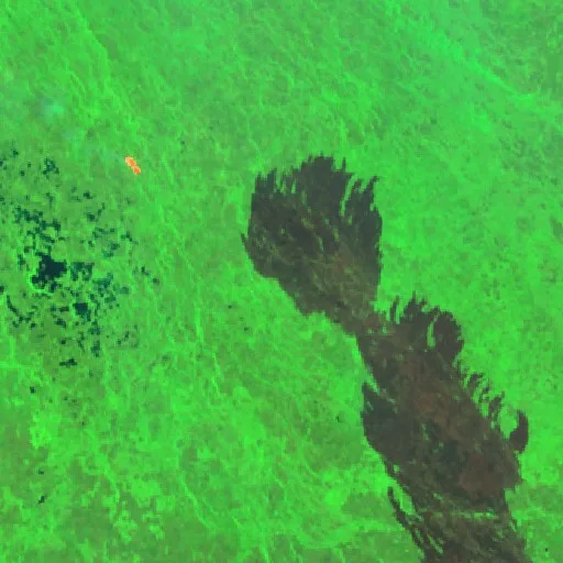 Wildfire near Kimaam (Oct 5) — Sentinel-2 SWIR