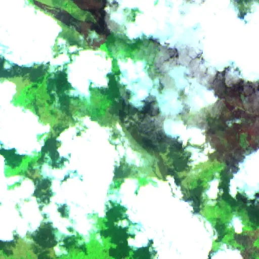 Wildfire near Kimaam — Sentinel-2 SWIR (fuego)