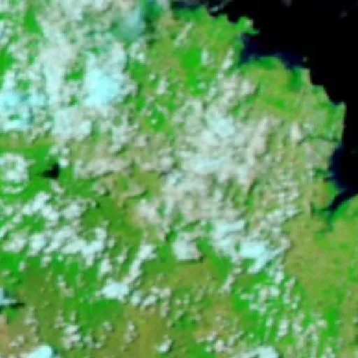 Kinchant Dam Bushfire — NASA satellite