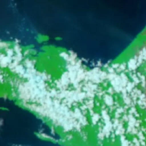 Incendio cerca de Kokas Kota — NASA satellite