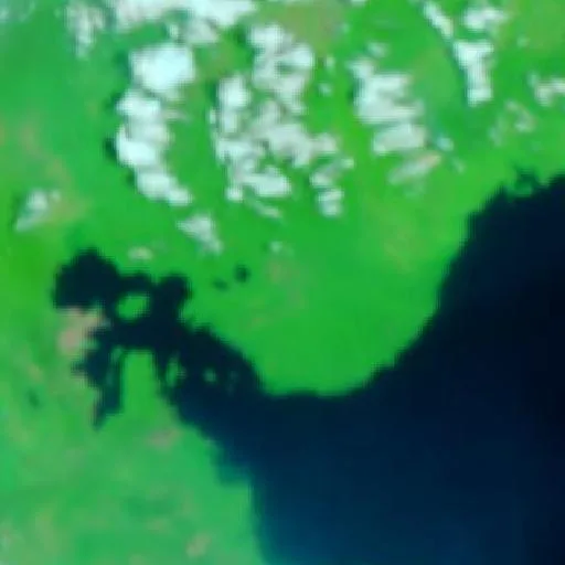 Incendio cerca de Kolonodale — NASA satellite