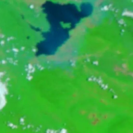 Incendio cerca de Konawe — NASA satellite