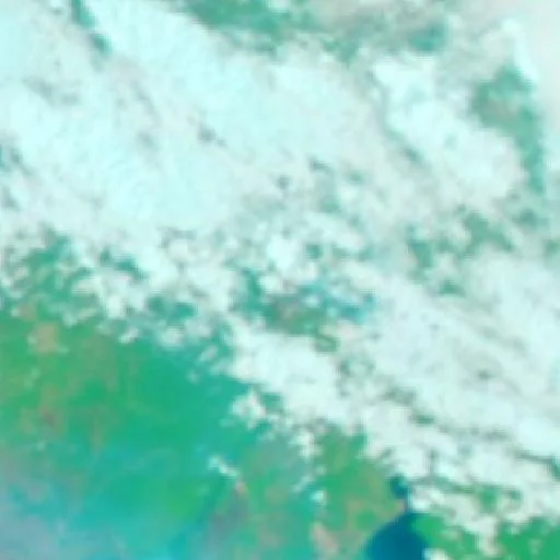 Incendio cerca de Kotawaringin — NASA satellite