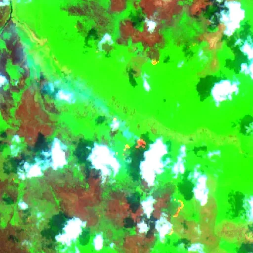 Incendio cerca de Kuala Pembuang (13 oct · E) — Sentinel-2 SWIR (fuego)