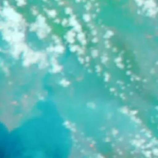 Wildfire near Kumai (Oct 17 · N) — NASA satellite