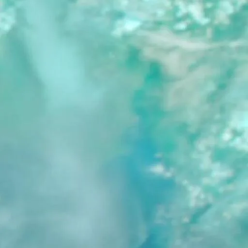 Incendio cerca de Kumai — NASA satellite