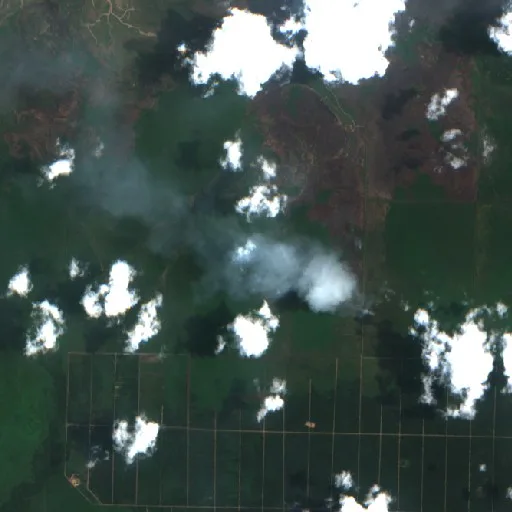 Wildfire near Kutai Kartanegara — Sentinel-2 true color