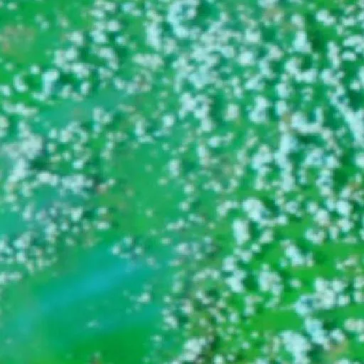 Incendio cerca de Kutai Timur (24 sep) — NASA satellite