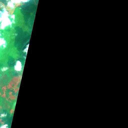 Wildfire near Kutai Timur (Oct 21) — Sentinel-2 SWIR (fuego)