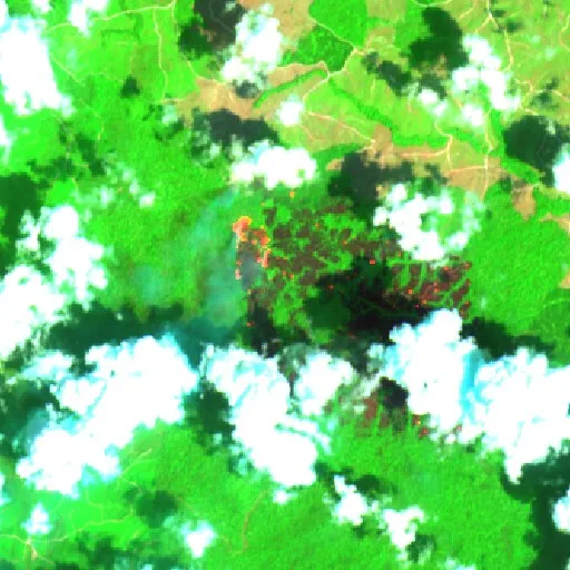 Wildfire near Kutai Timur (Oct 26) — Sentinel-2 SWIR (fuego)