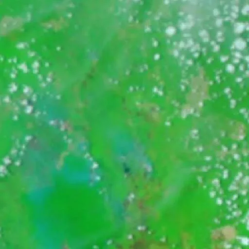 Wildfire near Kutai Timur — NASA satellite