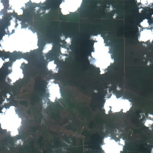 Wildfire near Kutai Timur (Oct 2) — Sentinel-2 true color