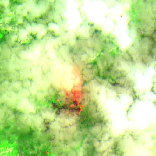 Wildfire near La Dorada — Sentinel-2 SWIR (fuego)
