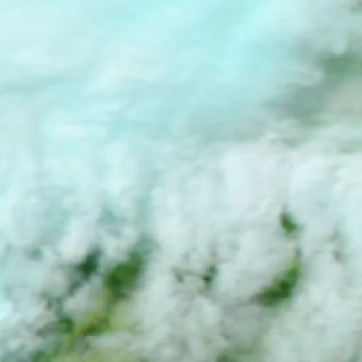 Incendio cerca de La Maruja — NASA satellite