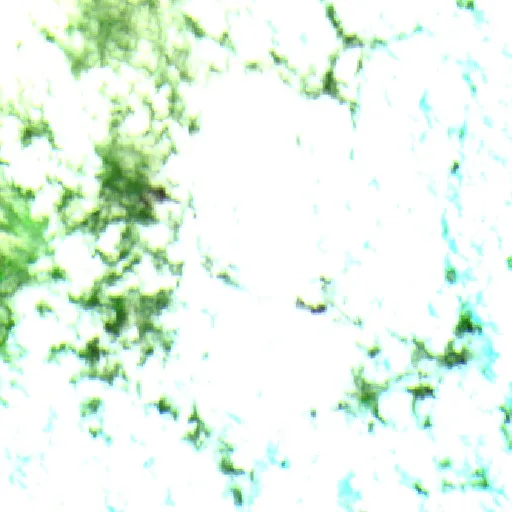 Wildfire near La Primavera (Jul 24) — Sentinel-2 SWIR (fuego)