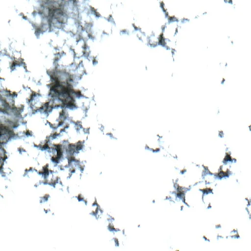 Wildfire near La Primavera (Jul 24) — Sentinel-2 true color