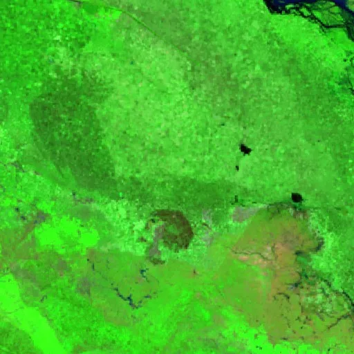 Wildfire near La Represa — Sentinel-2 SWIR (fuego)