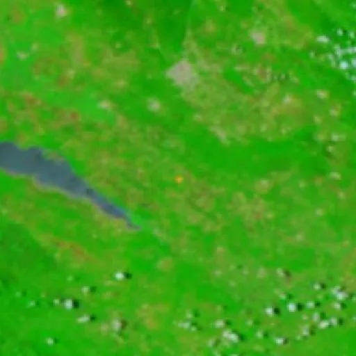 Wildfire near La Trinitaria — NASA satellite