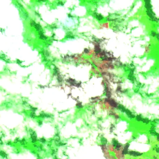 Wildfire near Lábrea (Sep 3) — Sentinel-2 SWIR (fuego)
